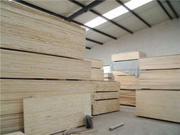 辰林木材专业的木材加工厂 木材加工