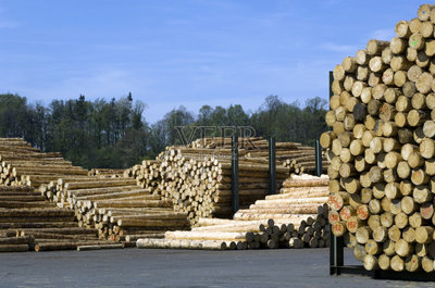 伐木搬运业,木材场,森林开伐,天空,褐色